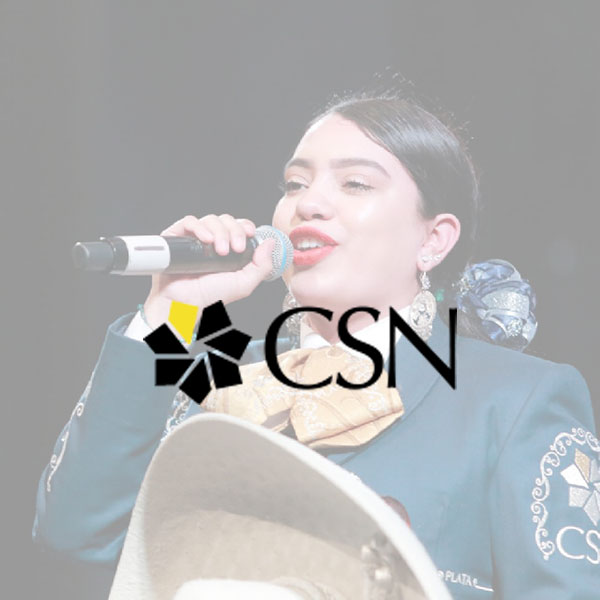 CSN logo