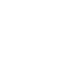 Las Vegas Skyline icon