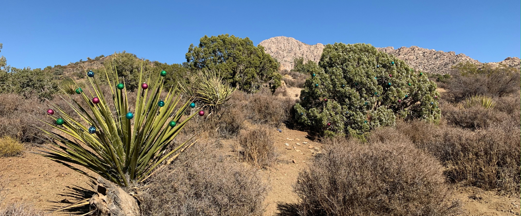 A tree decorated with red and blue ornaments along Christmas Tree Pass a road to Laughlin