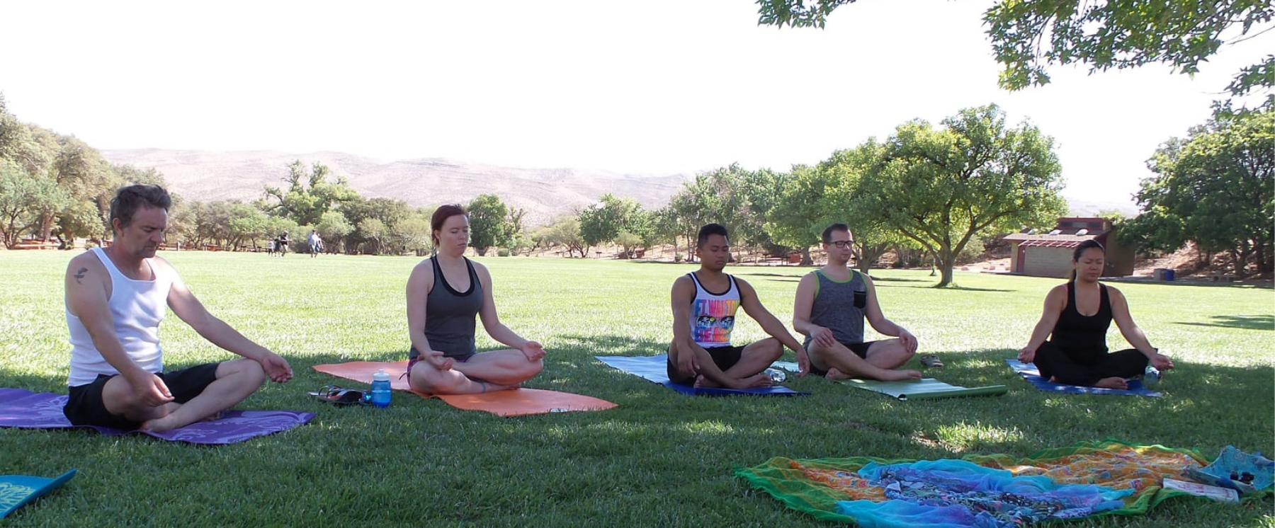 Five people meditating in the green meadow during summer yoga at Spring Mountain Ranch