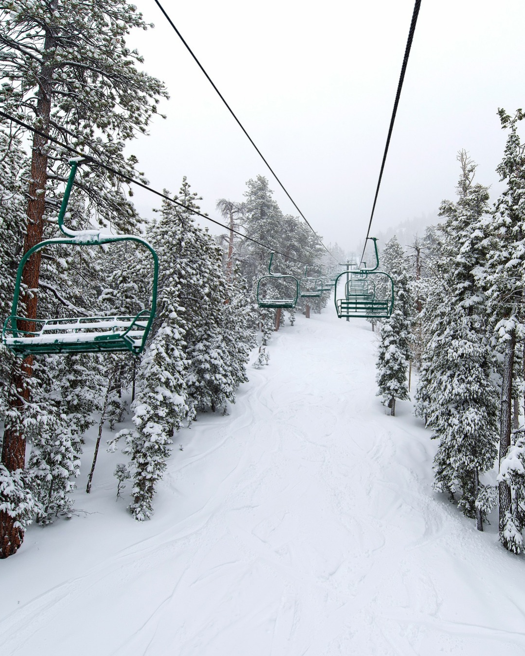 LVT Blog - winter activités Lee Canyon