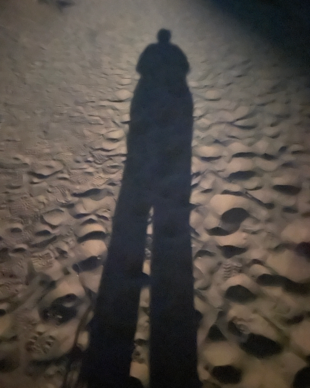 A female shadow on the sand from the moonlit beams of the night at Valley of Fire