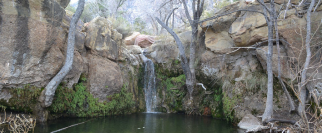 First Creek Canyon waterfall surrounded by trees, rock and a pool of water from the fall.