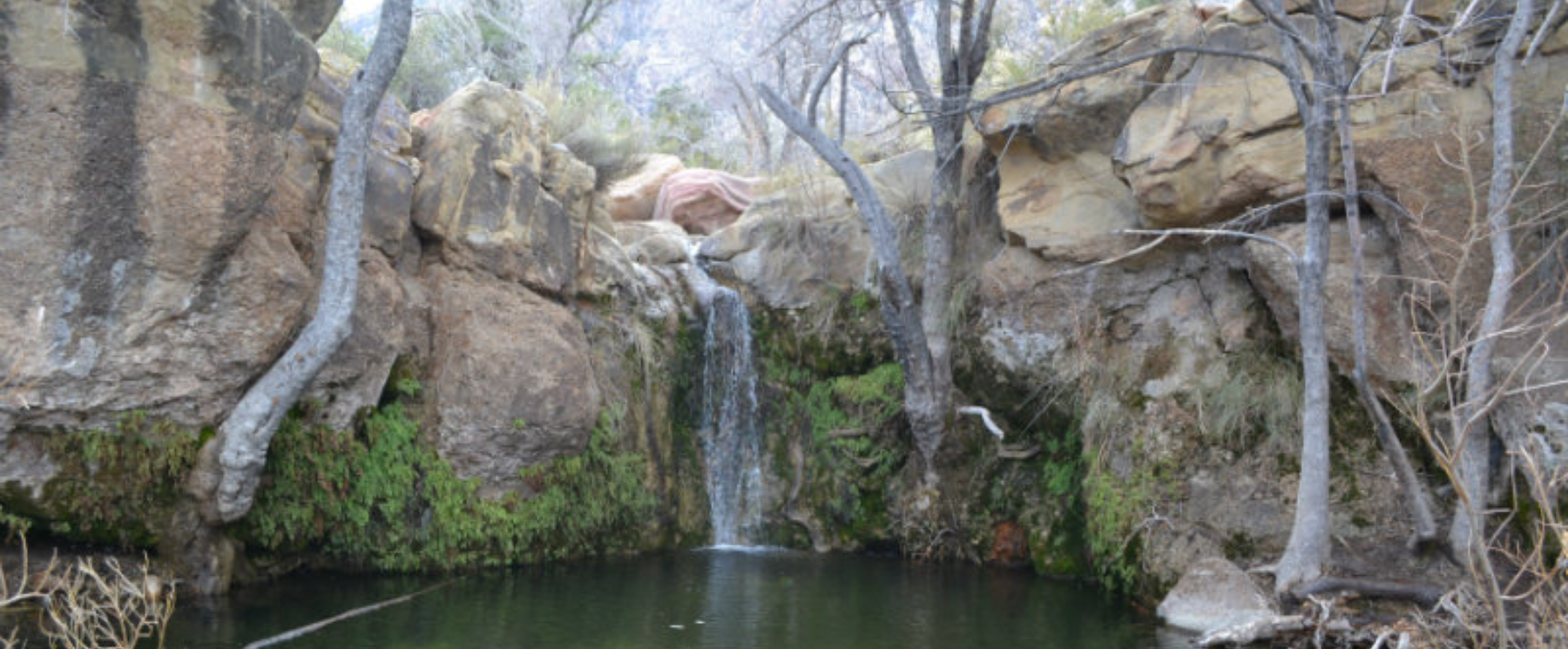 First Creek Canyon waterfall surrounded by trees, rock and a pool of water from the fall.