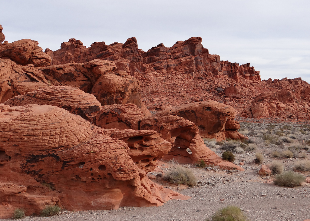 Winter Events Valley of Fire Bee Hive 1024x730