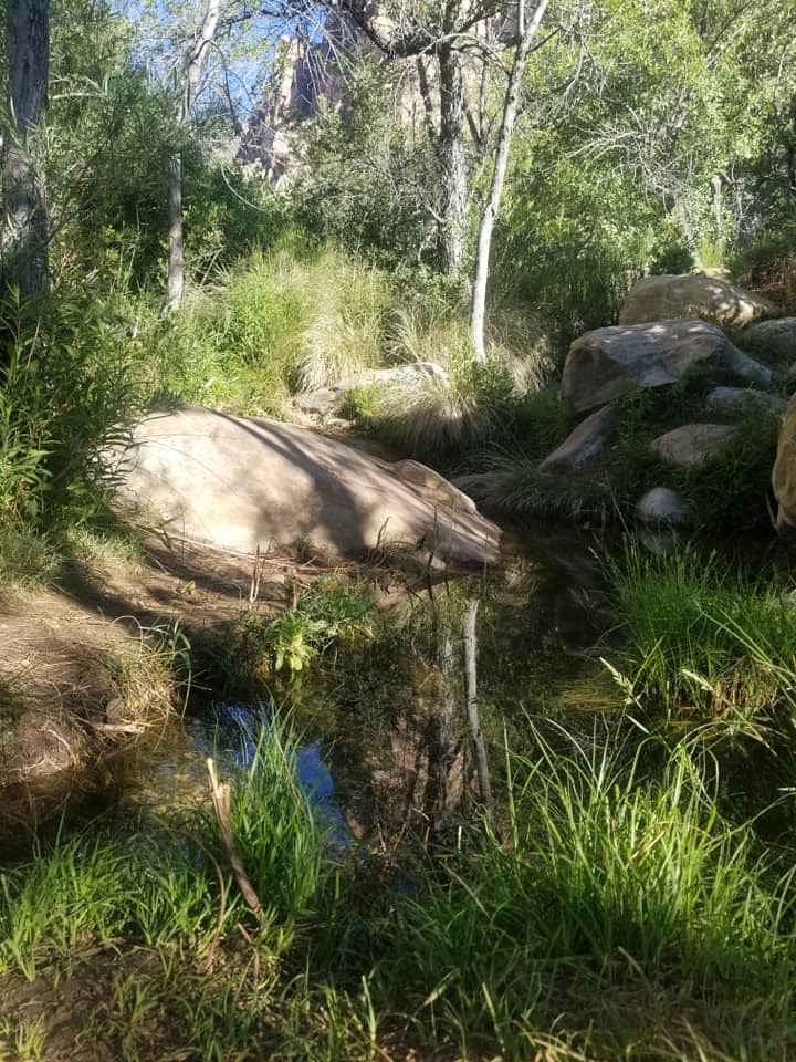 A creek with a boulder and green shrubs and trees. You can hike the creek area too!