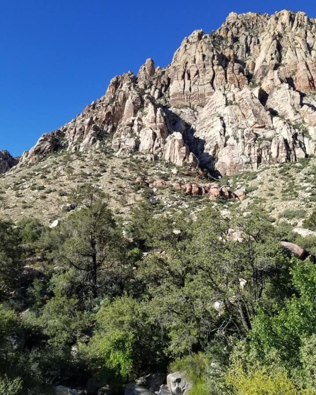 LVT Blog - First Creek-3