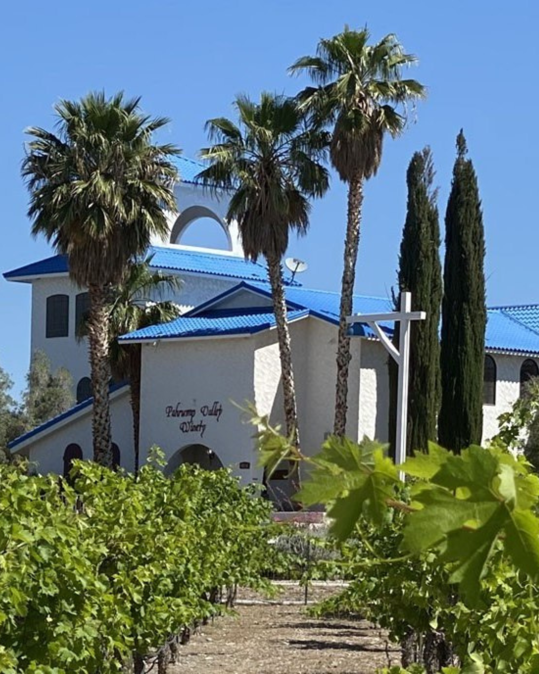 A walkway to the entry into the Pahrump Valley Winery building flanked by palm and italian cypress trees