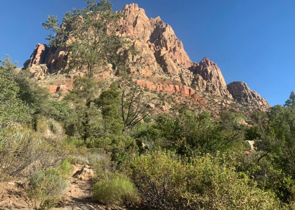 LVT First Creek HHGG 1024x730-2