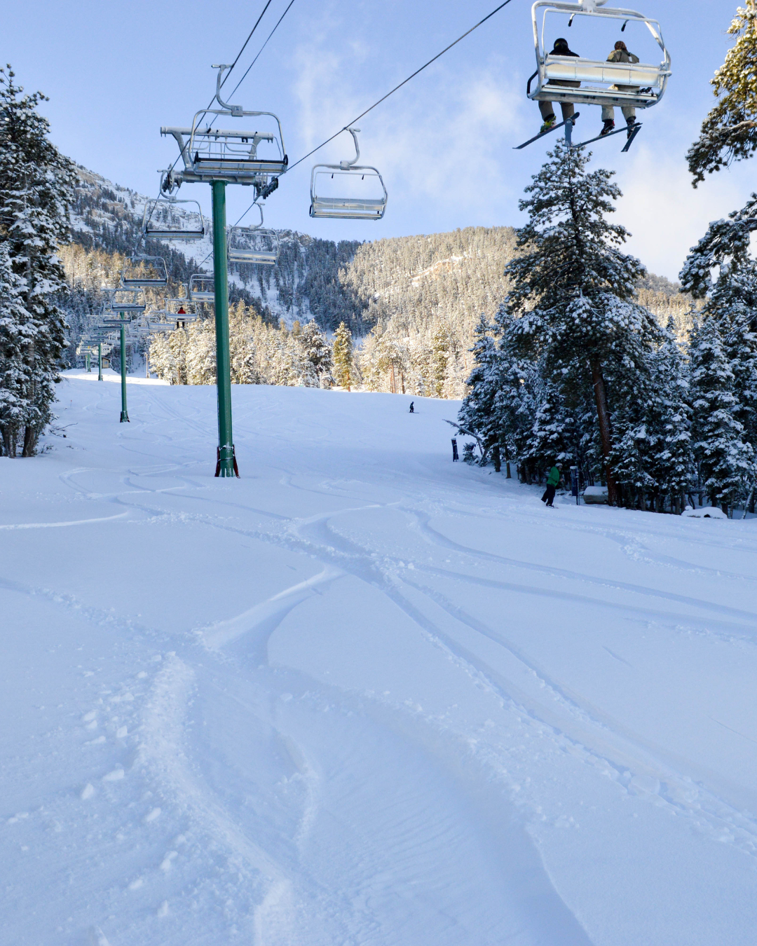 Mountain covers with snow and chair lift above carrying 2 people flanked by pine trees