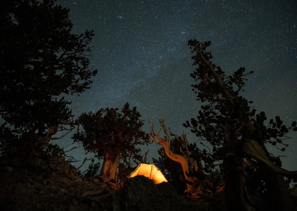 Mt Charleston LVT Perseid Meteor Shower 1024x730