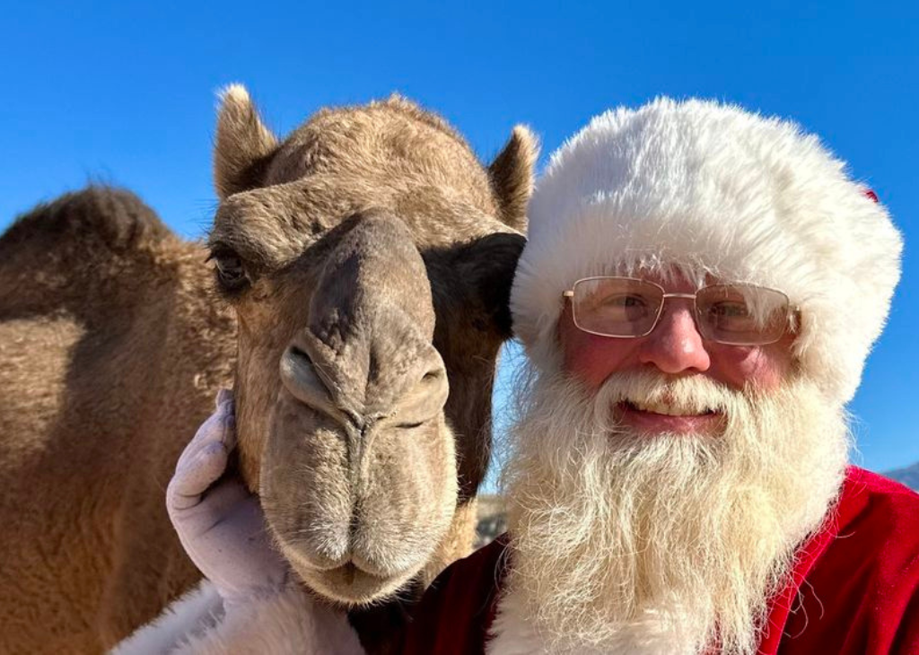 Camel and Santa