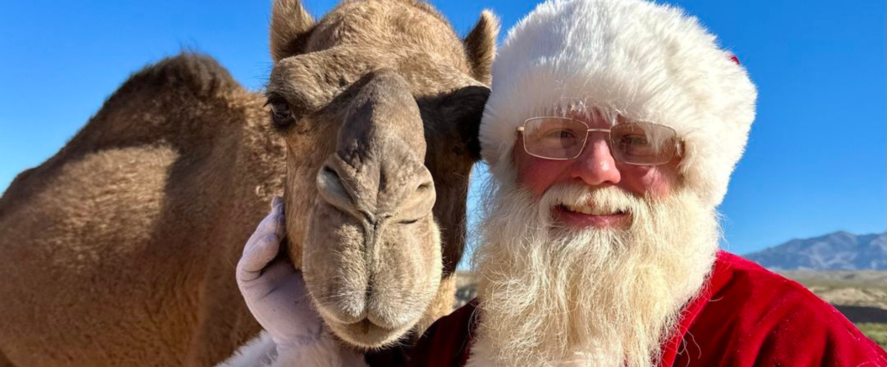 santa with his camel