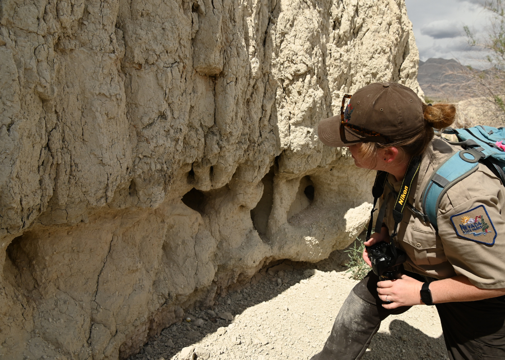 State Park Ranger at Ice Age Fossils State Park looks into a giant rock formation and prepares to take a photo. The new state park is located in Las Vegas.