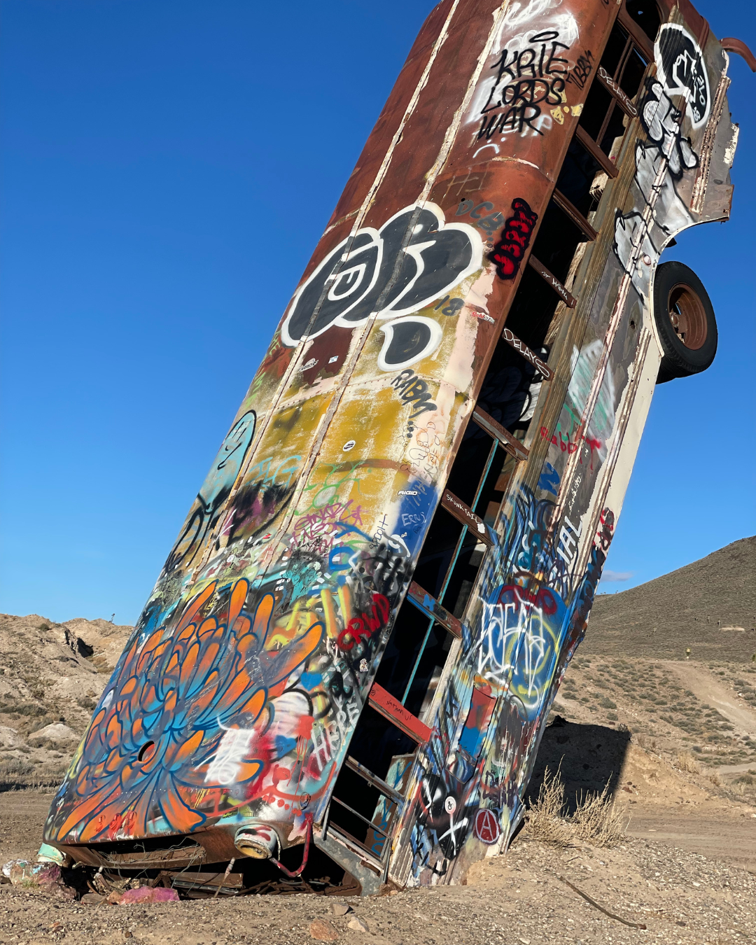 Roadtripping - Car Forrest Goldfield