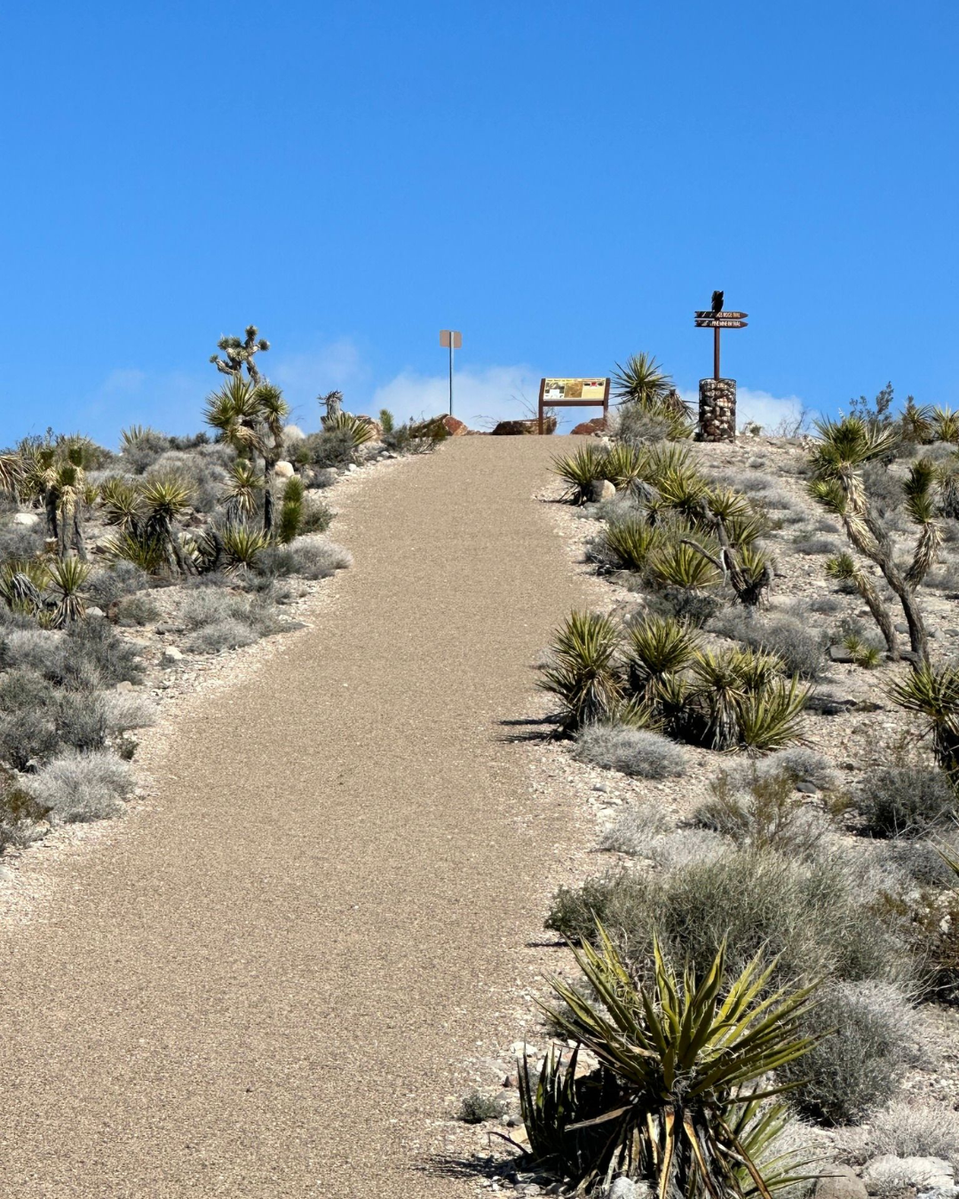 Hike Rail Road Ridge Loop in Goodsprings Nevada