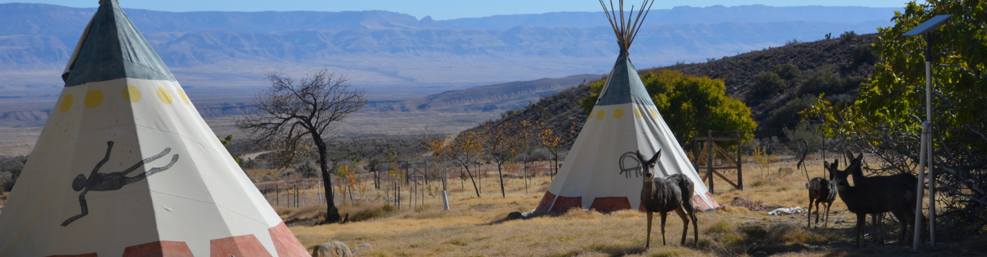 25 Things to Do Near Las Vegas in 2025: Two tipis at Aravada Springs Campground.