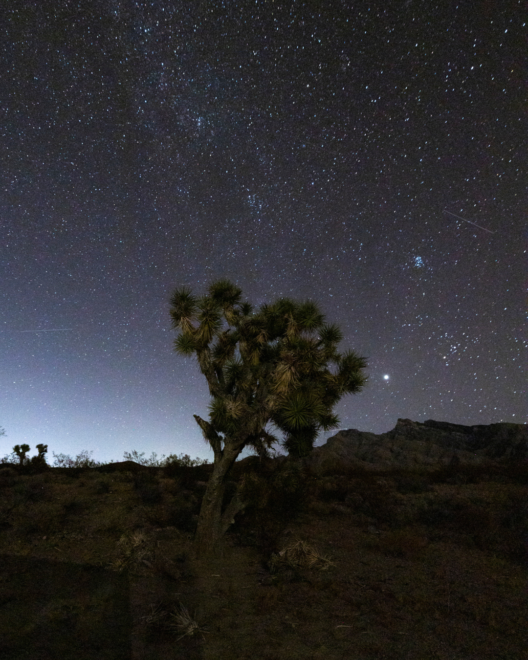 Hike, bike rip through the desert (responsibly) by day. Sweet sweet stars by night. Gold Butte area.