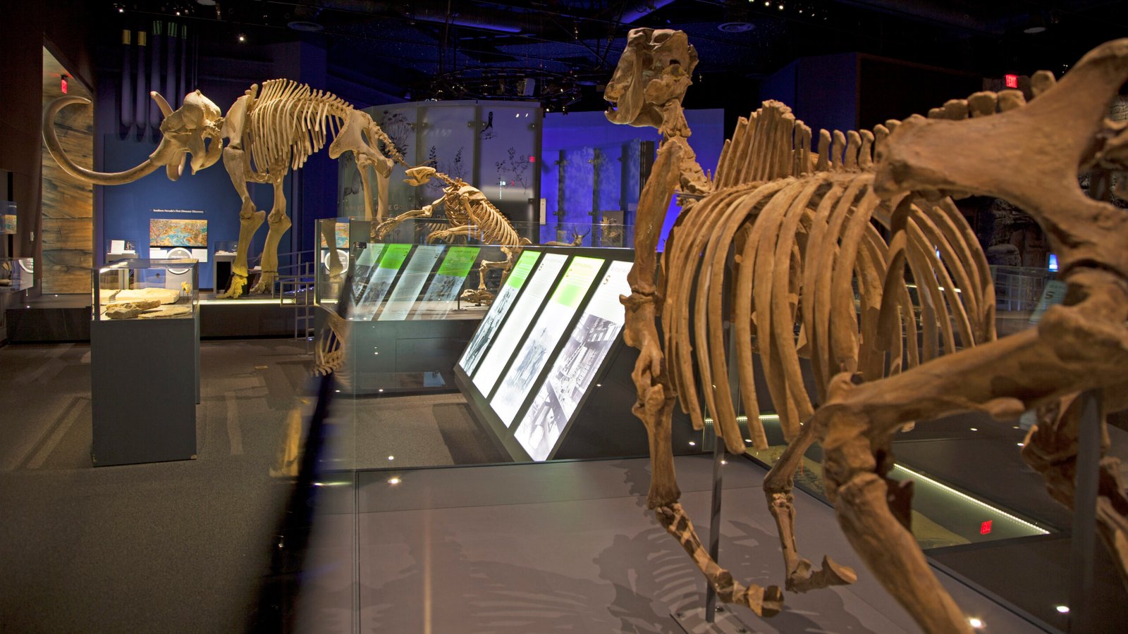 Nevada State Museum, Las Vegas