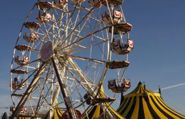 blog-grid-1-410x308