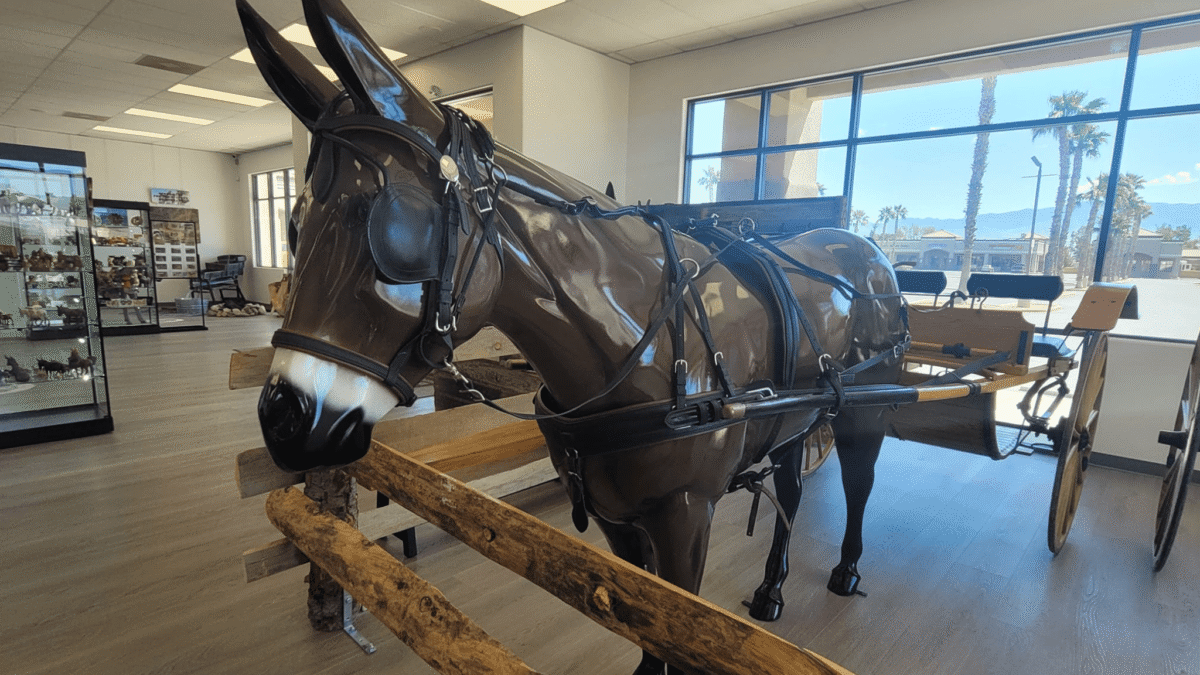 Donkey History Museum