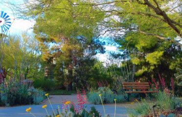 blog-grid-1-410x308
