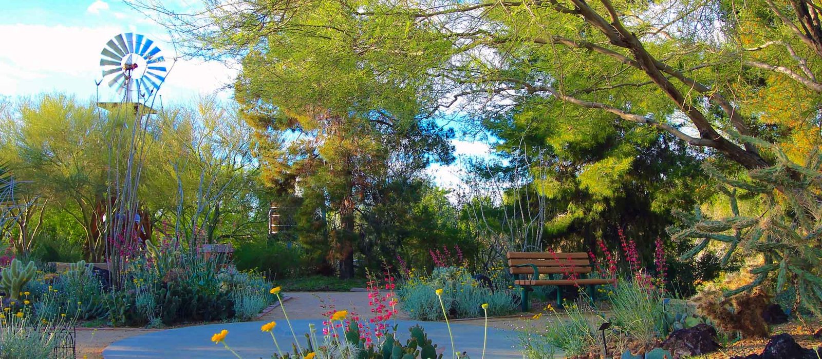 Spring Preserve