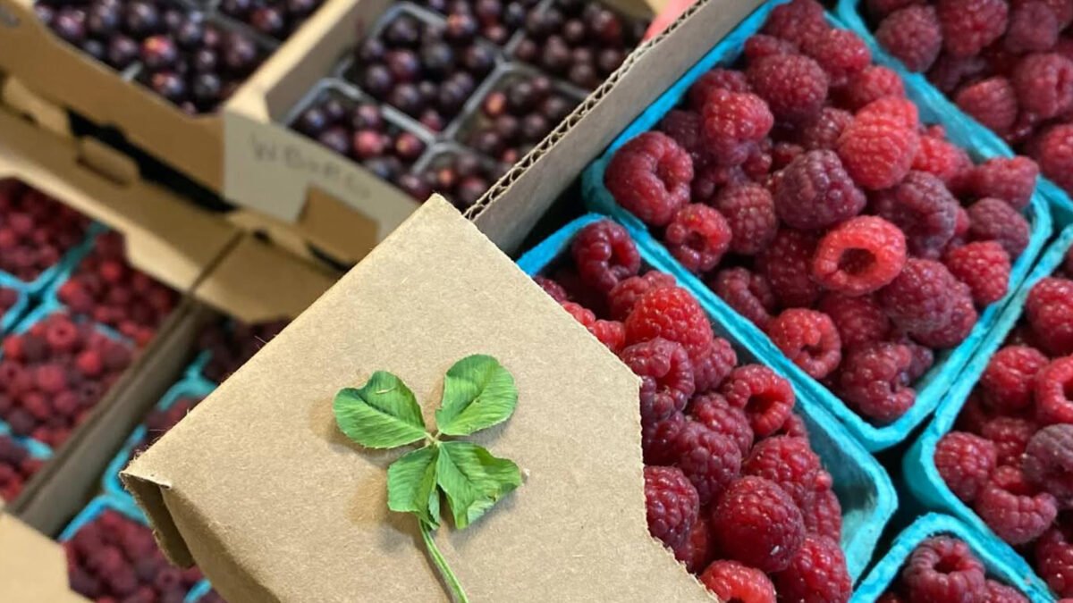 Boulder City Farmers Market