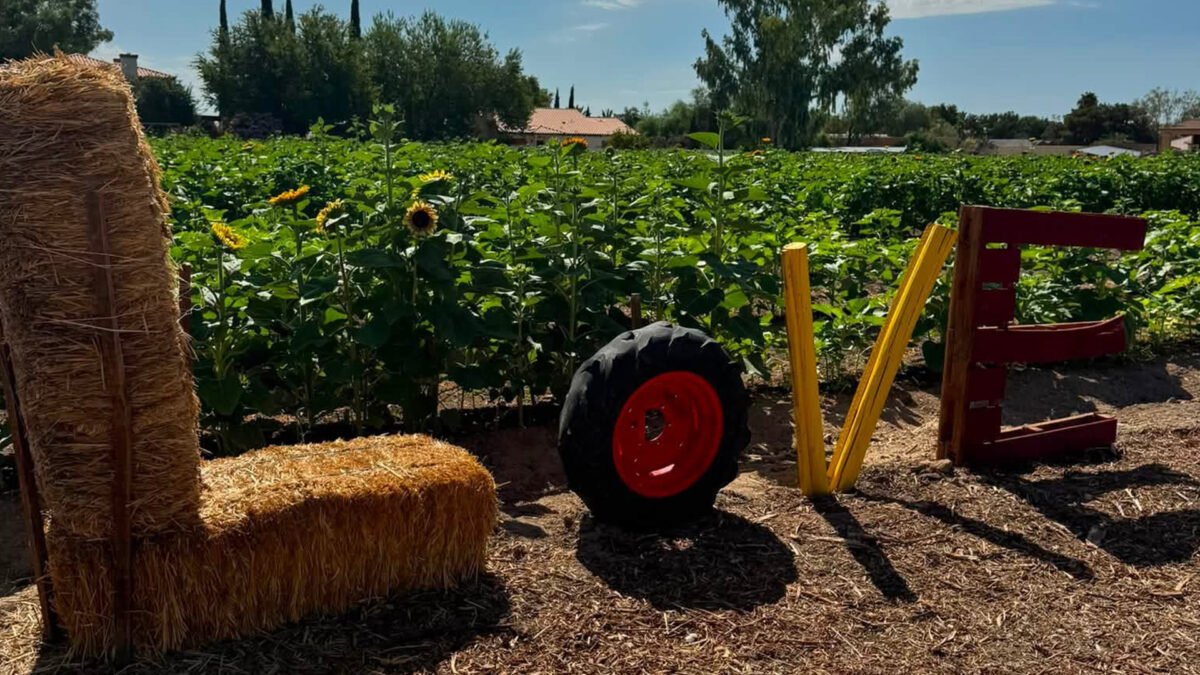 Gilcrease Orchard