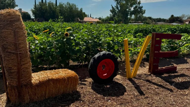 Gilcrease Orchard