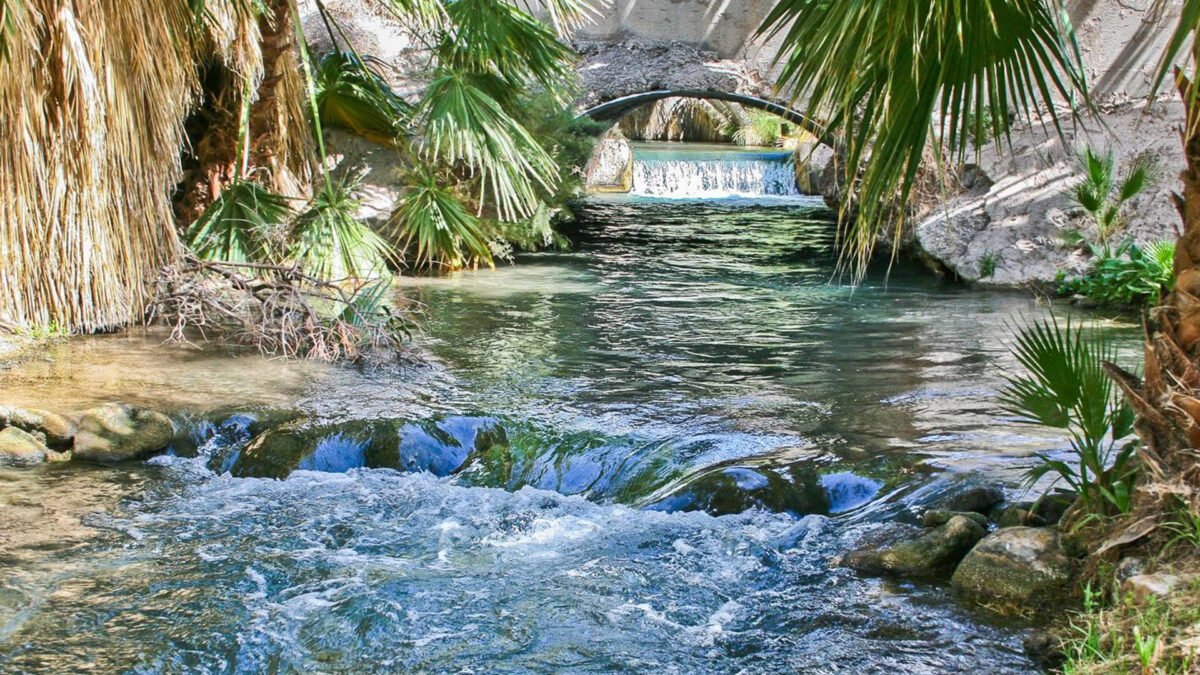 Palm Creek Ranch