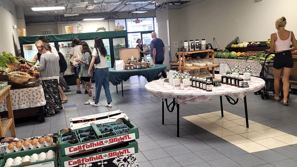 The Intuitive Forager Farmer's Market
